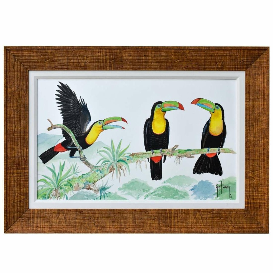 Artwork Intradeco | Toucan Chat