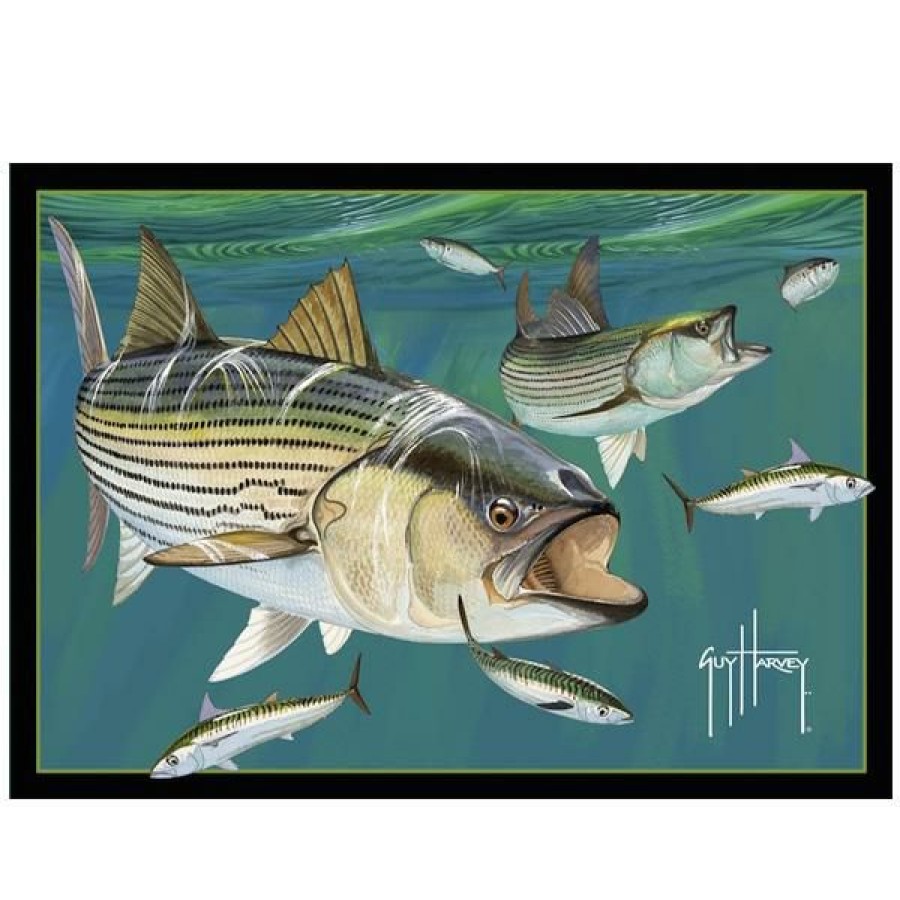 Home & Gifts Intradeco Area Rugs | Striped Bass Area Rug