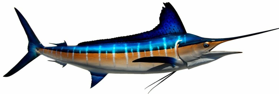 Home & Gifts Intradeco Fish Mounts | 116 Inch Striped Marlin