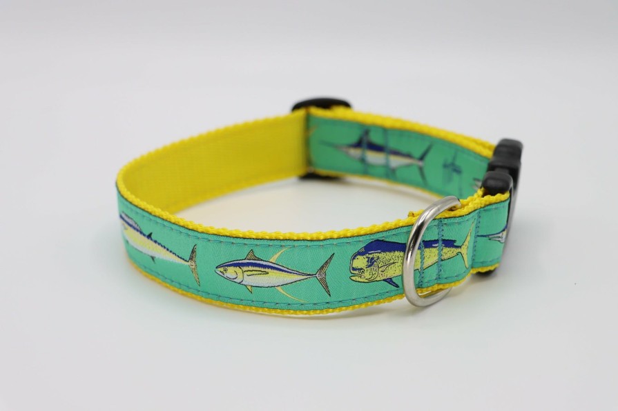 Home & Gifts Intradeco Dog Accessories | Offshore Dog Collar