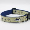 Home & Gifts Intradeco Dog Accessories | Grand Slam Dog Collar