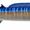 Home & Gifts Intradeco Fish Mounts | 53 Inch Wahoo