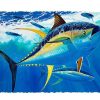 Artwork Intradeco | Yellowfin