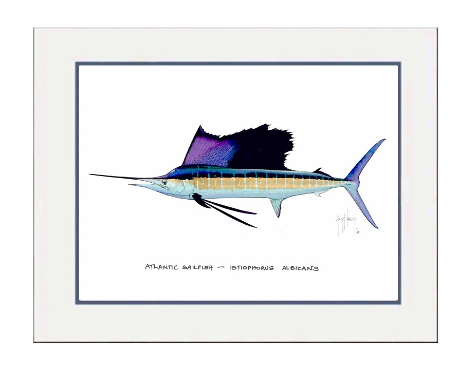 Artwork Intradeco | Atlantic Sailfish Mini Print