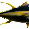 Home & Gifts Intradeco Fish Mounts | 66 Inch Yellowfin Tuna