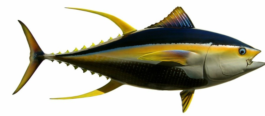 Home & Gifts Intradeco Fish Mounts | 66 Inch Yellowfin Tuna