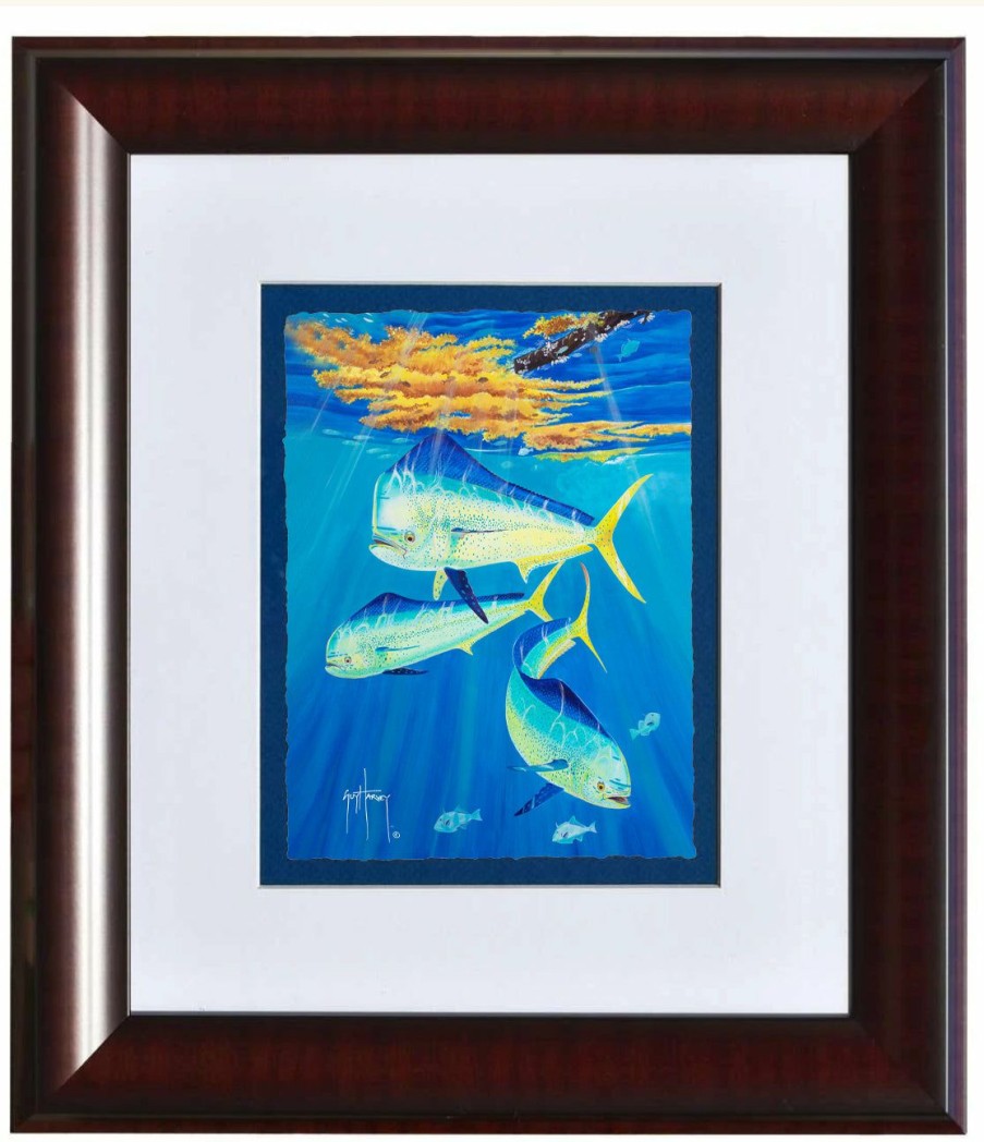 Artwork Intradeco | Plata'S Mahi Mahi Framed Open Edition