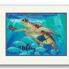 Artwork Intradeco | Hawksbill Carav 11X14 Mini Uf