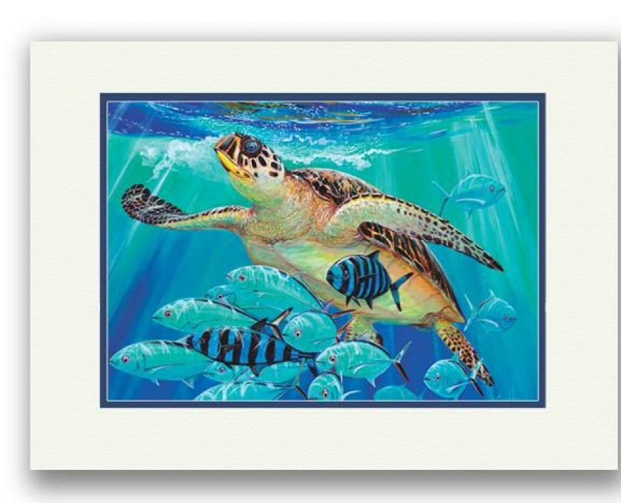 Artwork Intradeco | Hawksbill Carav 11X14 Mini Uf