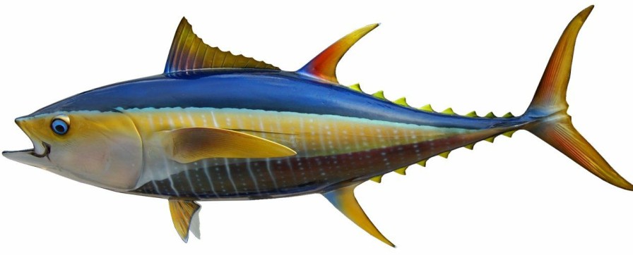 Home & Gifts Intradeco Fish Mounts | 44 Inch Yellowfin Tuna