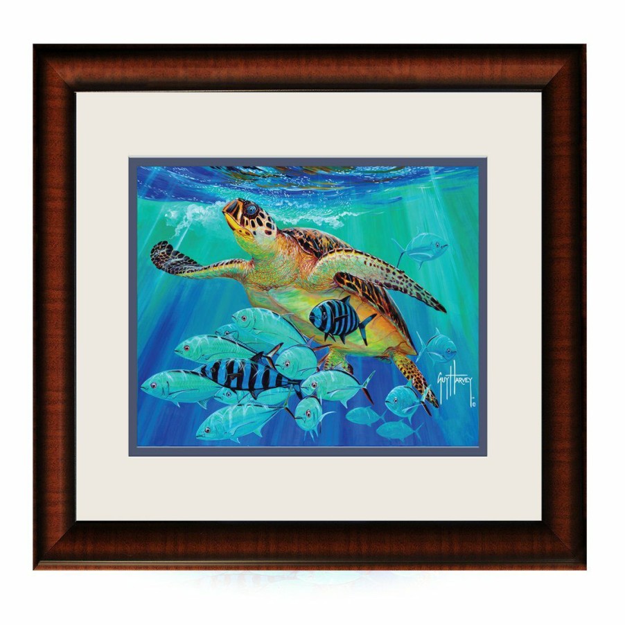 Artwork Intradeco | Hawksbill Carav 13X16 Mini Fr