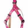 Home & Gifts Intradeco Dog Accessories | Sea Turtle Dog Harness