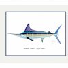 Artwork Intradeco | Striped Marlin Mini Print