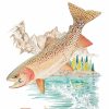 Artwork Intradeco | Cutthroat Trout