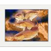 Artwork Intradeco | Realtree Xtreme Redfish Mini Print