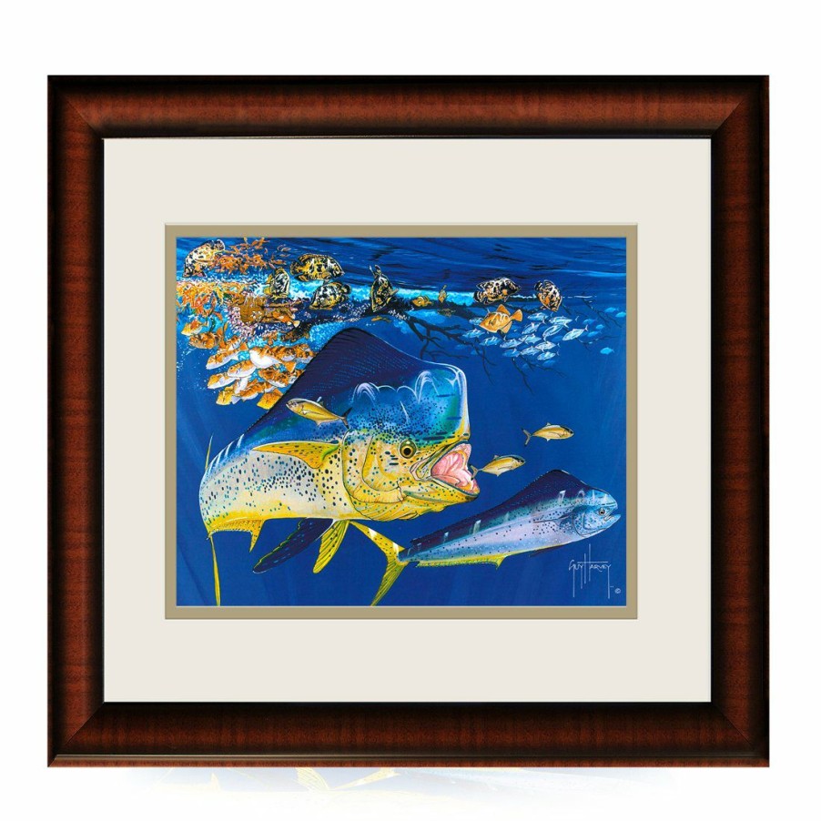 Artwork Intradeco | Dolphin Summer 13X16 Mini Fr