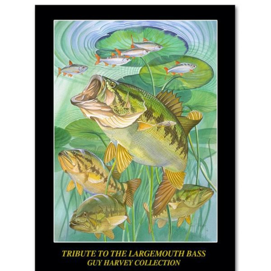 Artwork Intradeco | Largemouth Bass