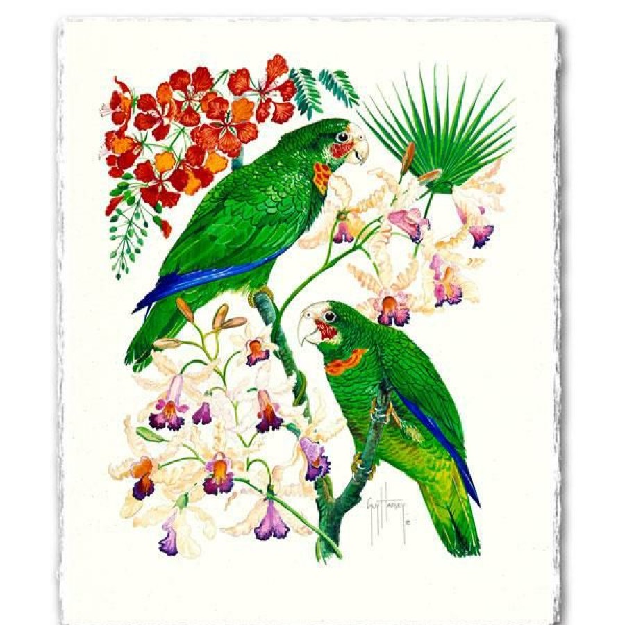 Artwork Intradeco | Parrots & Orchids