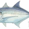 Artwork Intradeco | Fotoo Giant Trevally