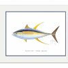 Artwork Intradeco | Yellowfin Tuna Mini Print