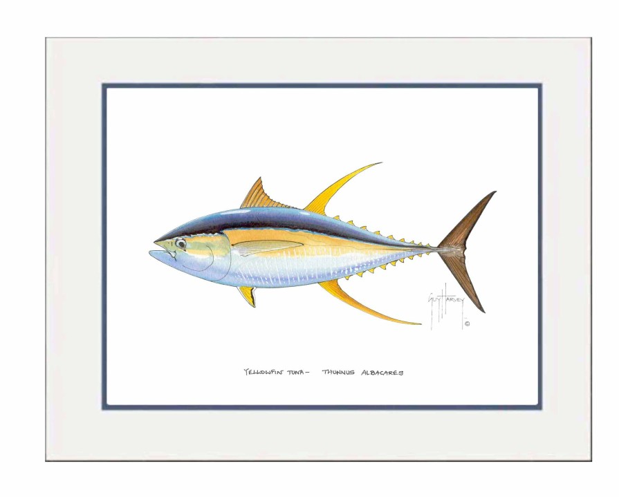 Artwork Intradeco | Yellowfin Tuna Mini Print