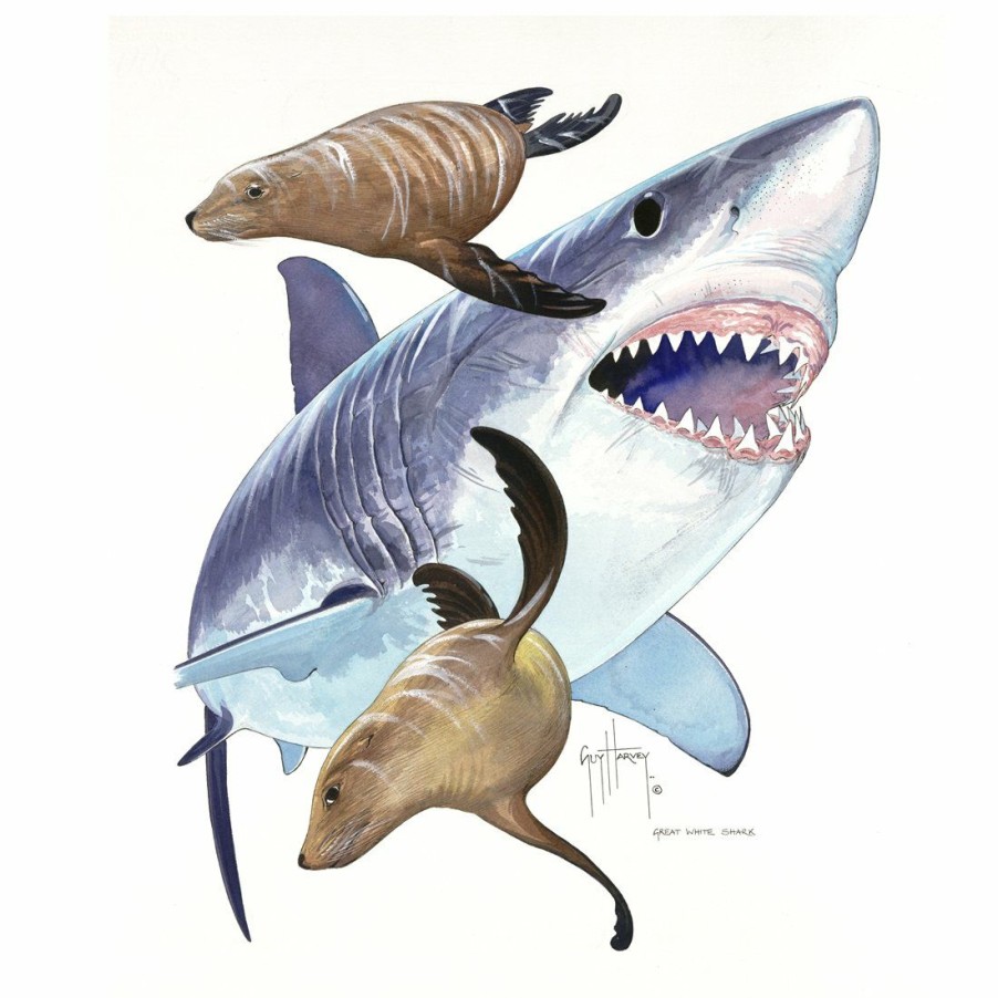 Artwork Intradeco | Great White And Sea Lions