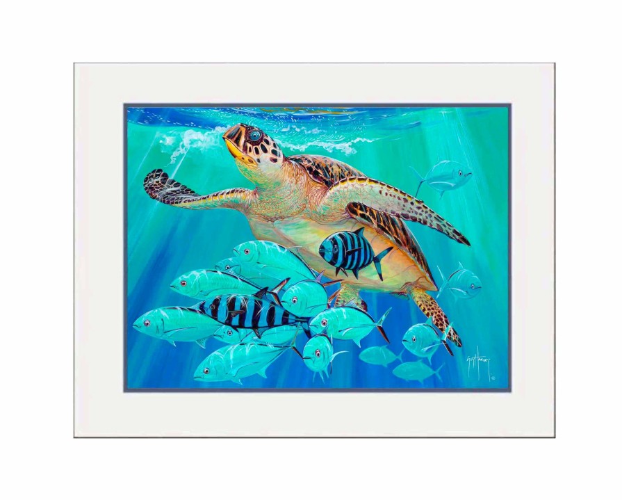 Artwork Intradeco | Hawksbill Caravan Large Mini Print