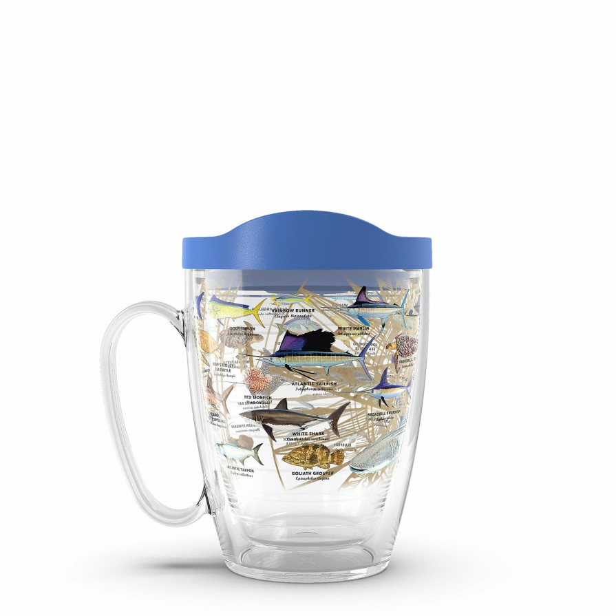 Home & Gifts Intradeco Drinkware | Tervis Charts