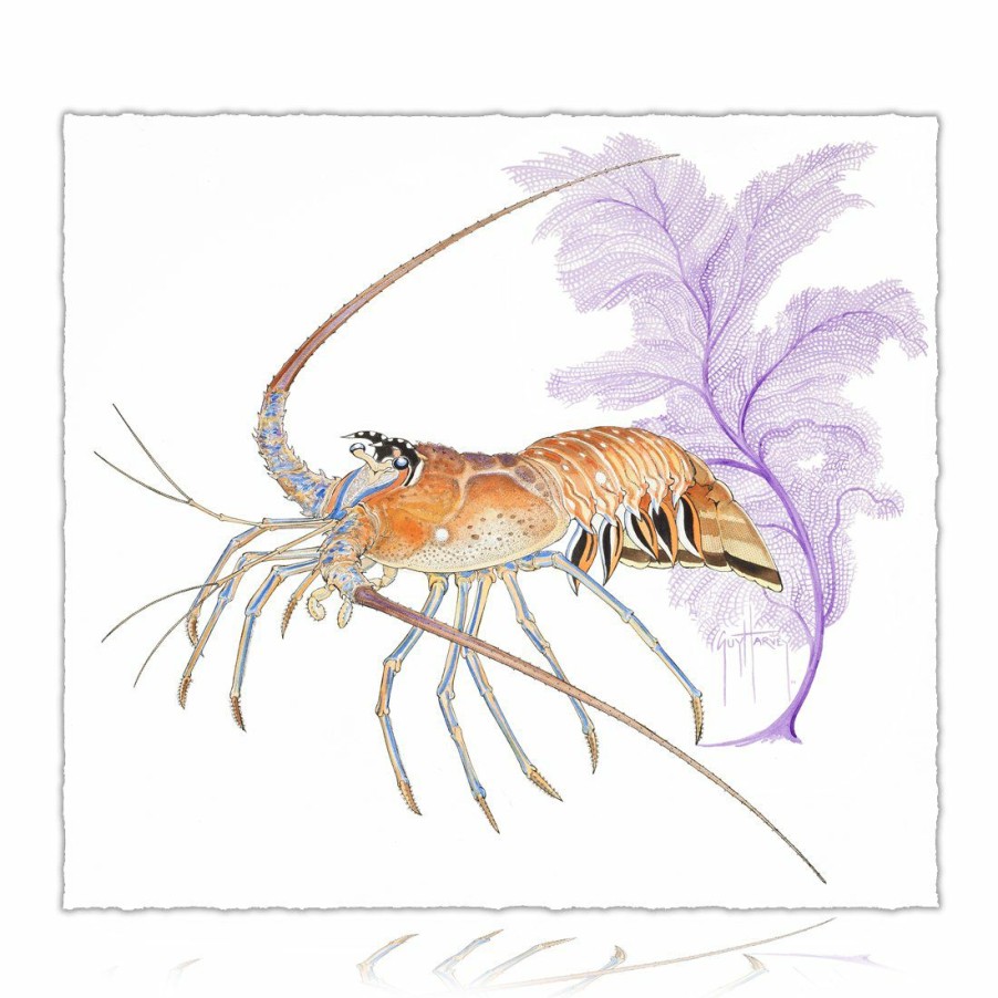 Artwork Intradeco | Lobster