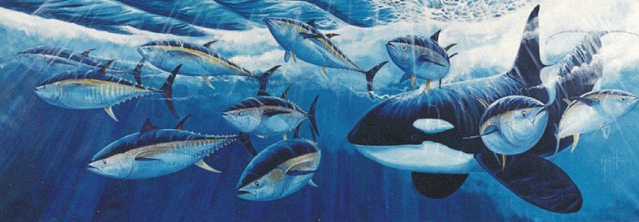 Artwork Intradeco | Killer Whale And Bluefin Tuna