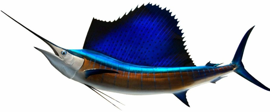 Home & Gifts Intradeco Fish Mounts | 102 Inch Sailfish