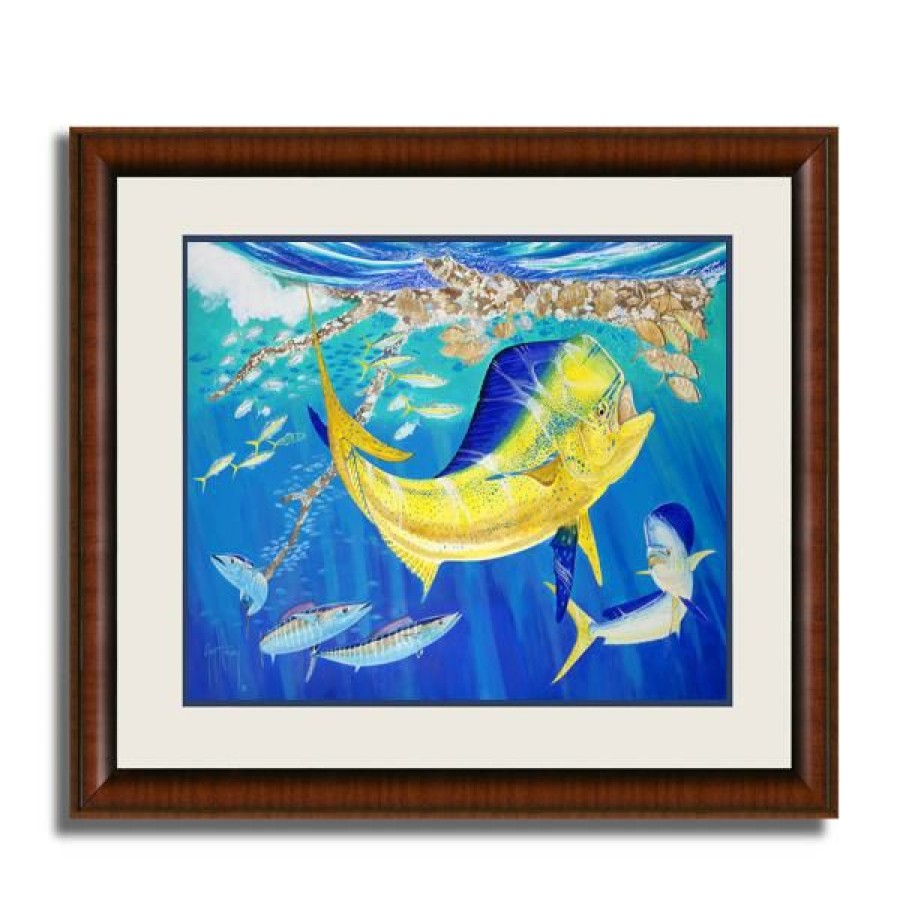 Artwork Intradeco | Dolphin Oasis 13X16 Mini Fr