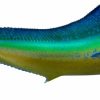 Home & Gifts Intradeco Fish Mounts | 46 Inch Dolphin