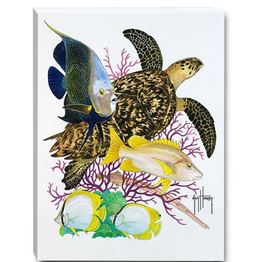 Artwork Intradeco | Hawksbill Reef