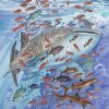 Artwork Intradeco | Whale Shark Cocos Island