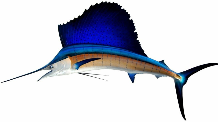 Home & Gifts Intradeco Fish Mounts | 95 Inch Sailfish