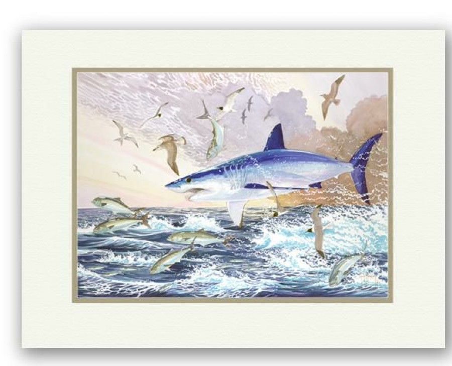 Artwork Intradeco | Marauding Mako 11X14 Mini Uf