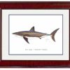 Artwork Intradeco | White Shark Mini Print