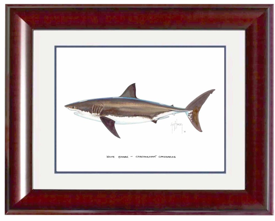 Artwork Intradeco | White Shark Mini Print