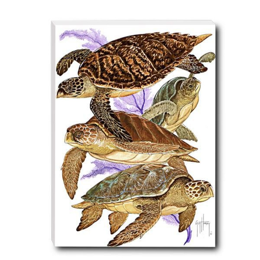 Artwork Intradeco | Turtle Collage Small Canvas Art