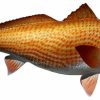 Home & Gifts Intradeco Fish Mounts | 40 Inch Redfish