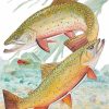 Artwork Intradeco | Brook Trout