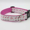 Home & Gifts Intradeco Dog Accessories | Flamingo Dog Collar