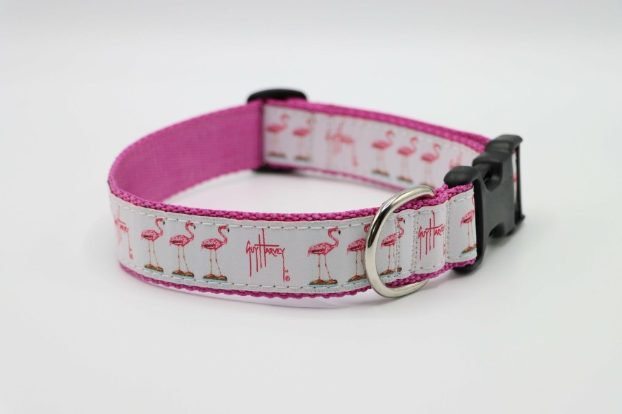 Home & Gifts Intradeco Dog Accessories | Flamingo Dog Collar