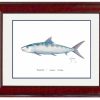 Artwork Intradeco | Bonefish Mini Print