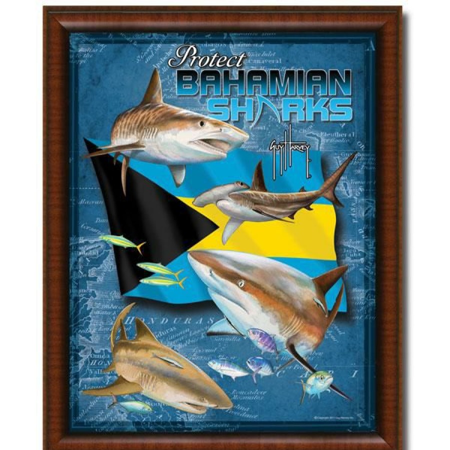 Artwork Intradeco | Protect Bahamian Sharks