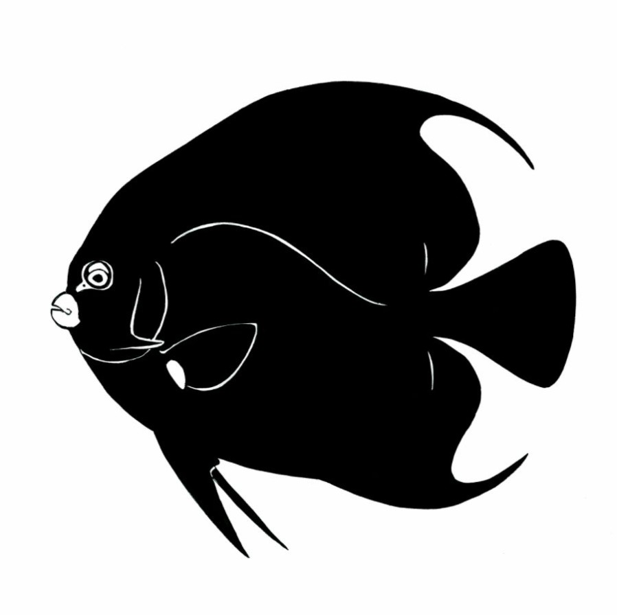 Artwork Intradeco | Anglefish Ink Silhouette