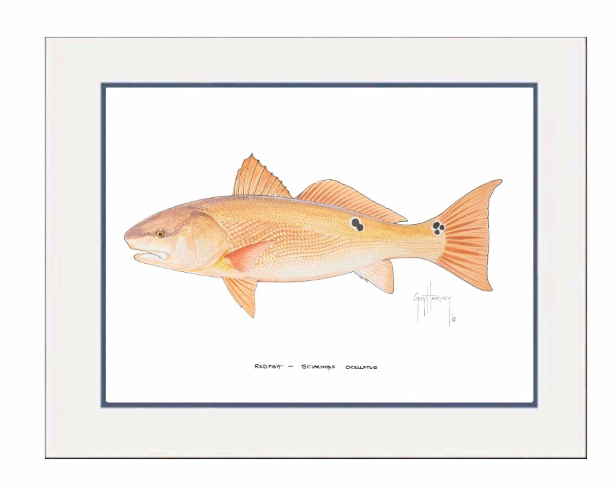 Artwork Intradeco | Redfish Mini Print