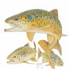 Artwork Intradeco | Three Brown Trout