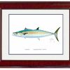 Artwork Intradeco | Kingfish Mini Print